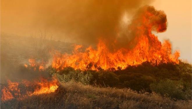 Υπό έλεγχο η πυρκαγιά στο κρατικό δάσος Πάφου