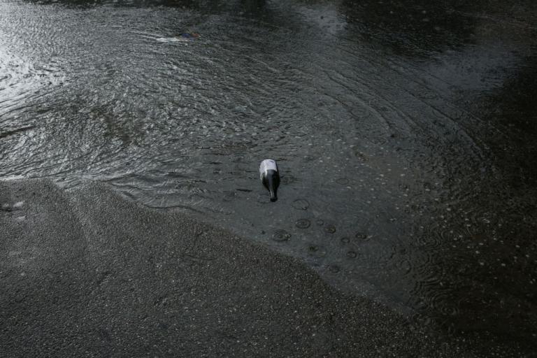 Φθινοπωρικό το σκηνικό στην Αθήνα σήμερα