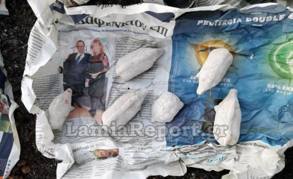 Η φωτιά στην Λοκρίδα αποκάλυψε κλεμμένα αρχαία αντικείμενα