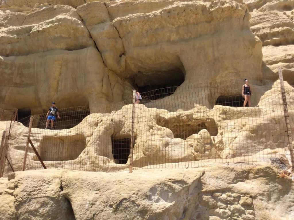 Τα Μάταλα και το… κοτέτσι 