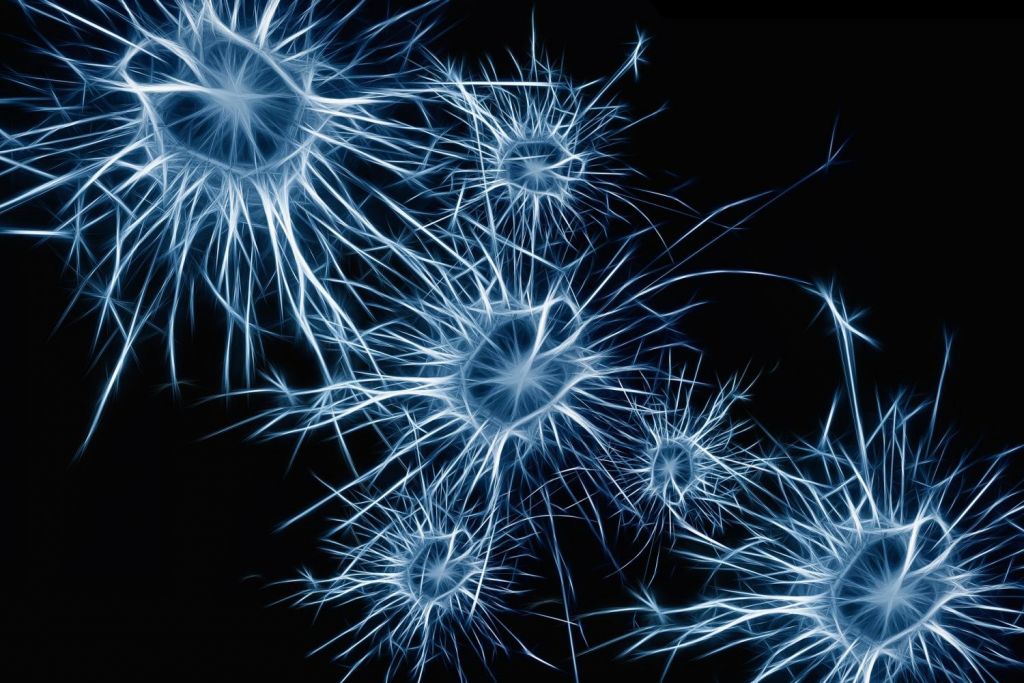 Κύτταρα αίματος μετατράπηκαν απευθείας σε νευρώνες