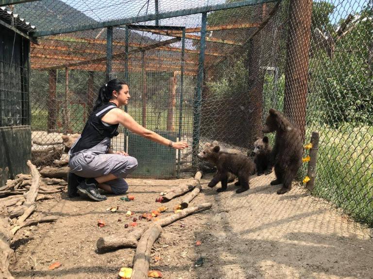Τα άγρια «μωρά» του Νυμφαίου