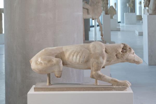 Καλοκαίρι παρέα με τα ζώα του Μουσείου της Ακρόπολης
