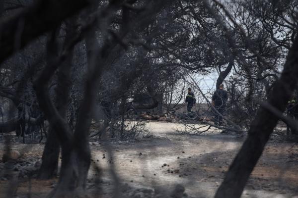 Την παρέμβαση εισαγγελέα για τις πυρκαγιές ζητά ο Ιατρικός Σύλλογος Αθήνας