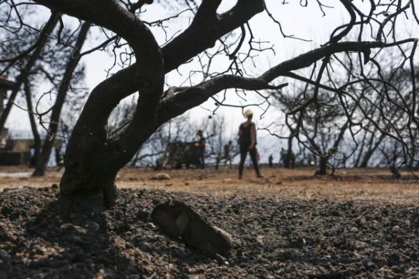 Μαρτυρία : Ποια αποζημίωση; Εδώ χάσαμε ανθρώπους