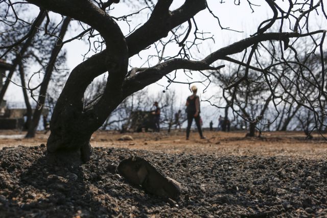 Μαρτυρία : Ποια αποζημίωση; Εδώ χάσαμε ανθρώπους