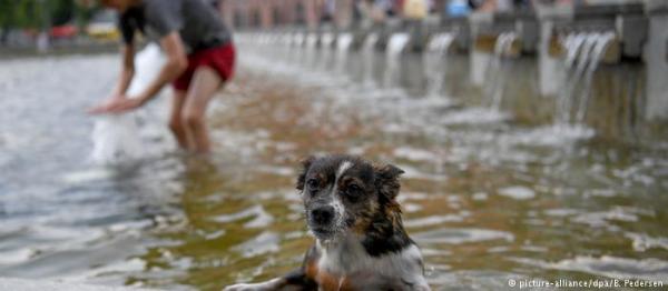Εξαίρεση ή κανόνας πλέον οι καύσωνες;