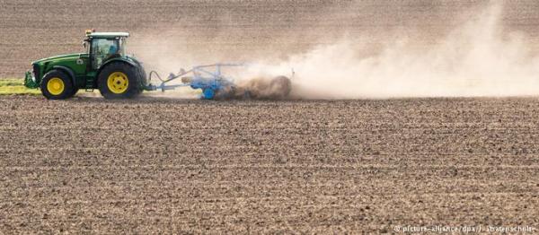 Ο καύσωνας σκοτώνει