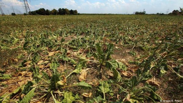 Ένα δισ. βοήθεια ζητούν οι Γερμανοί αγρότες