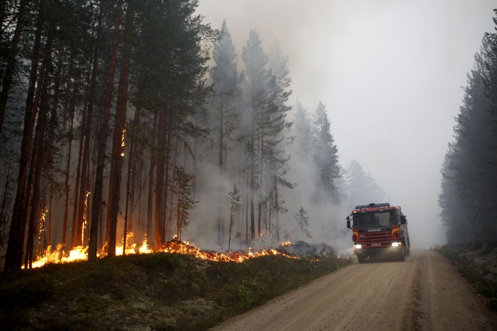 Δεκάδες πύρινα μέτωπα σε δασικές εκτάσεις στην Σουηδία