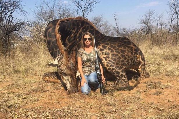 ΗΠΑ: Σάλος από τη φωτογραφία κυνηγού με πτώμα σπάνιας καμηλοπάρδαλης