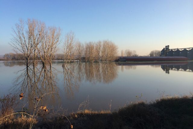 Αλεξανδρούπολη: Βρέθηκε η σορός παιδιού σε παρέβρια περιοχή στο Πύθιο