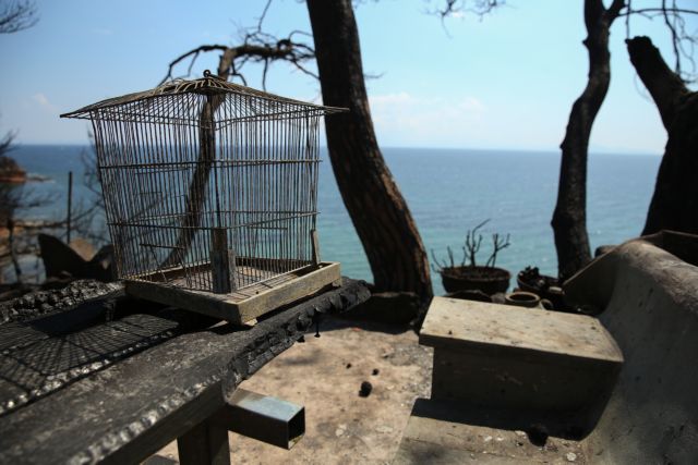 ΕΦΚΑ : Μέτρα για τους πληγέντες από τις πυρκαγιές