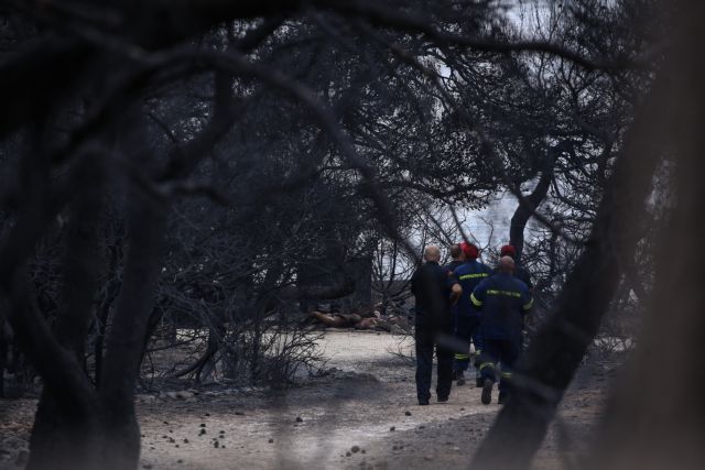 Ιδιοκτήτης οικοπέδου : Άκουγα τα ουρλιαχτά τους