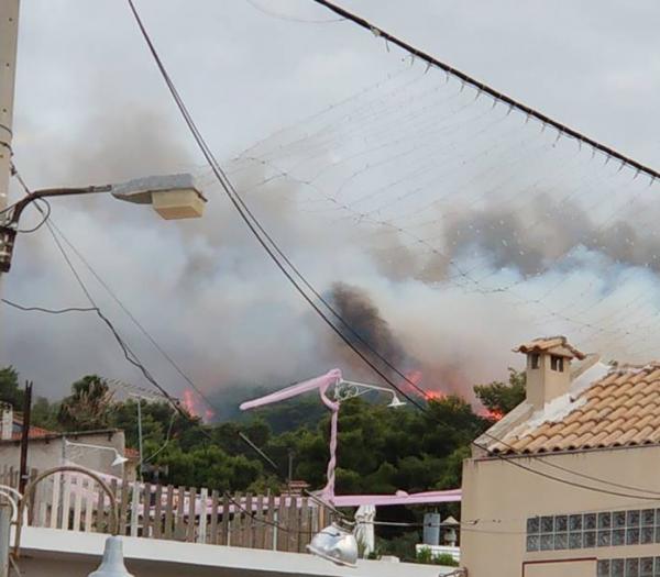 Ξέσπασε φωτιά και στον Κάλαμο – Έφτασε στους Αγίους Αποστόλους [Εικόνες]