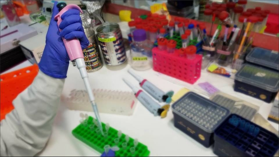 Πρωτεΐνη με ογκοκατασταλτική δράση ανακάλυψαν ερευνητές του Πανεπιστημίου Πατρών