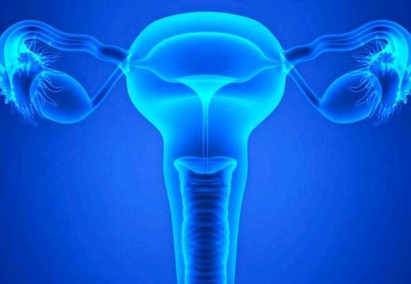 Τεχνητή ωοθήκη δοκιμάστηκε επιτυχώς σε πειραματόζωα