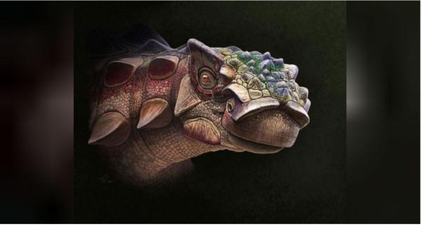 Ανακαλύφθηκε ένας από τους πιο οπλισμένους δεινόσαυρους