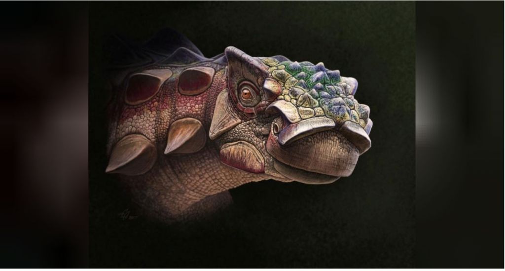 Ανακαλύφθηκε ένας από τους πιο οπλισμένους δεινόσαυρους