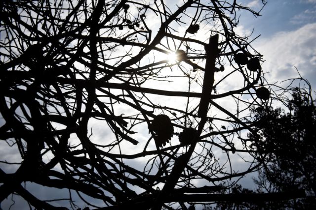 Κύμα αλληλεγγύης προς τους πληγέντες από τις πυρκαγιές της Αττικής