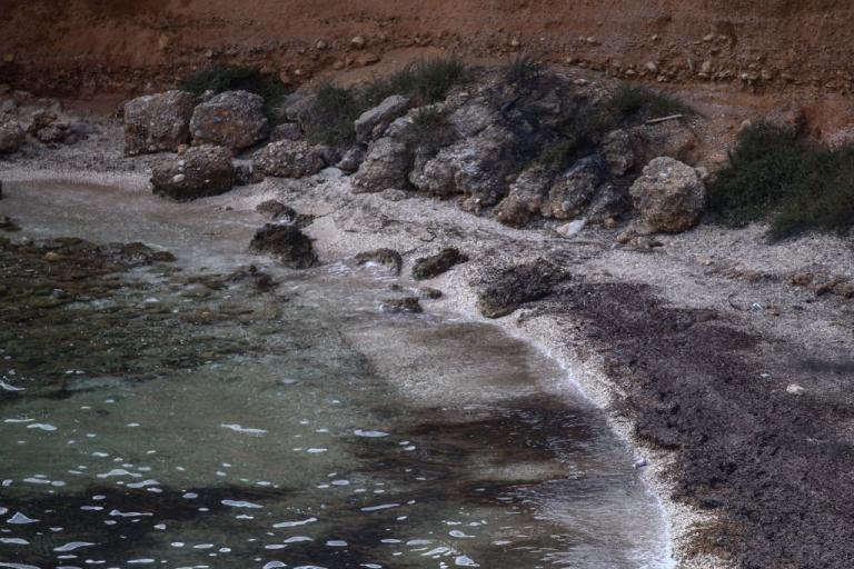 Διεθνές κύμα αλληλεγγύης προς την Ελλάδα μετά τις φονικές πυρκαγιές