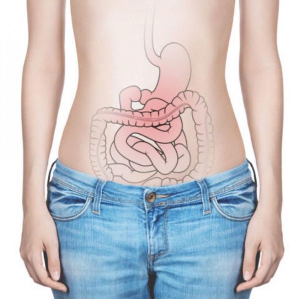 Ταξιδεύοντας στον κόσμο των ΙΦΝΕ