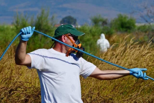 Αττική: Συνεχίζεται το πρόγραμμα καταπολέμησης των κουνουπιών