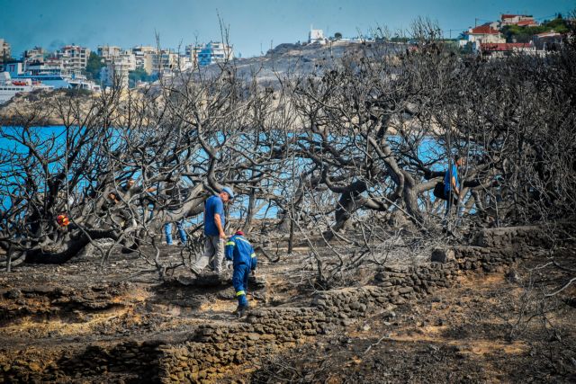 Α.Αργυρίου : Οι ευθύνες για τις ζημιές και τις απώλειες ανήκουν πάντα στους ανθρώπους