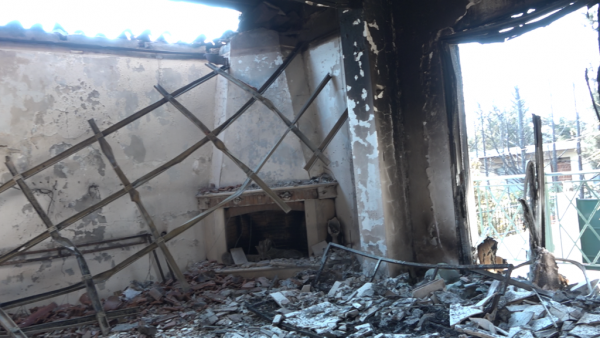 Δελτίο ειδήσεων