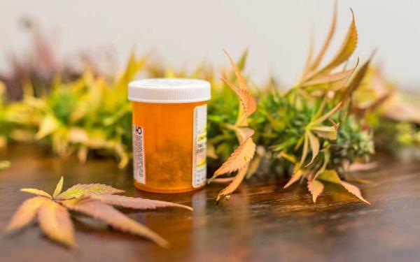 Η φαρμακευτική κάνναβη δεν αμβλύνει τον χρόνιο πόνο