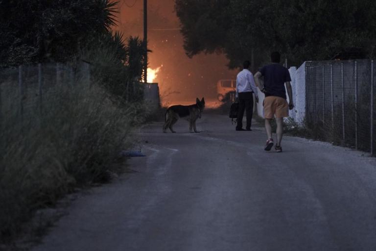 Πέντε προσαγωγές ατόμων – Φόβοι για πλιάτσικο