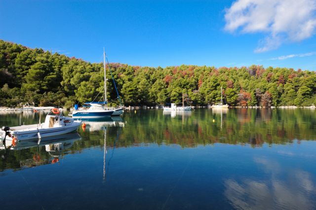 Απολαμβάνω και απολαύω