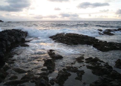 Κλιματική αλλαγή προκάλεσαν τα πρώτα ζώα πριν 500 εκατ. χρόνια