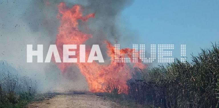 Μεγάλη πυρκαγιά στην περιοχή Σπιάντζας του Πύργου