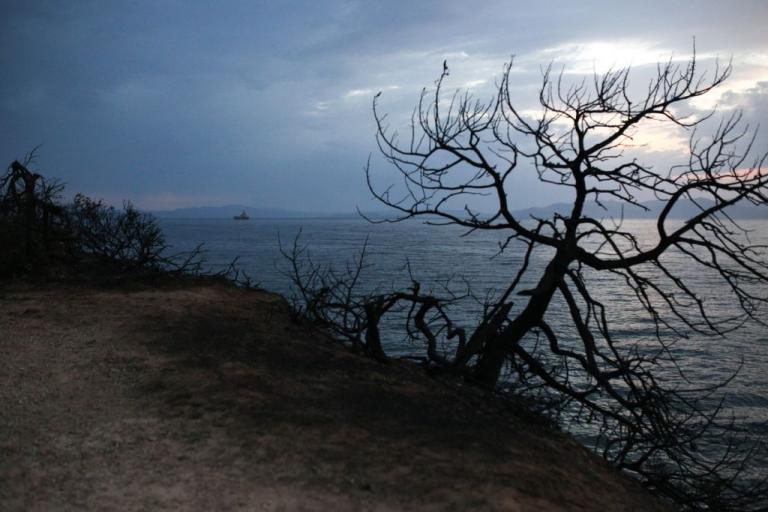 Στην ίδια τραγωδία θεατές