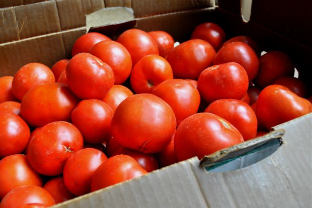 Πειραιάς: Κατάσχεση 2,3 τόνων ακατάλληλης ντομάτας