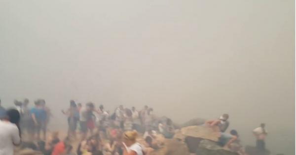 Νέο συγκλονιστικό βίντεο από τη φωτιά στο Μάτι