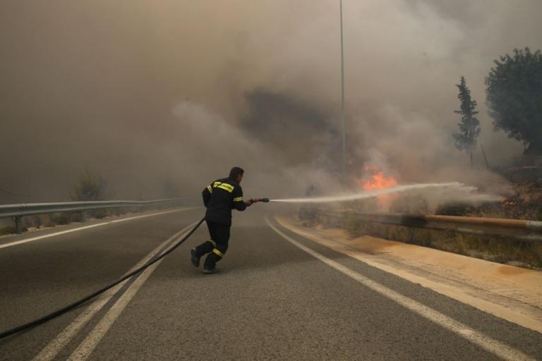 Φωτιά σε χαμηλή βλάστηση στην Άνδρο