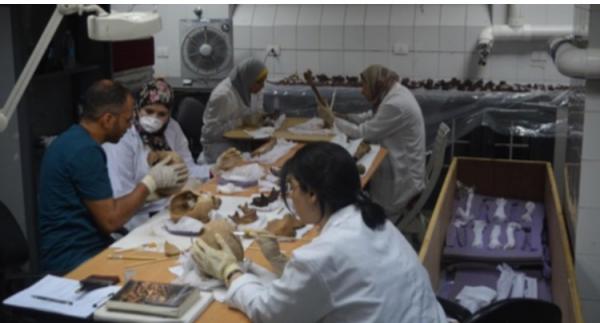 Τι αποκαλύπτουν οι πρώτες αναλύσεις της γρανιτένιας σαρκοφάγου της Αλεξάνδρειας