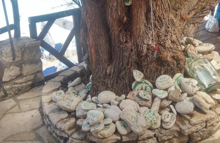 Οι Αντίπαξοι έχουν τη δική τους Φοντάνα ντι Τρέβι