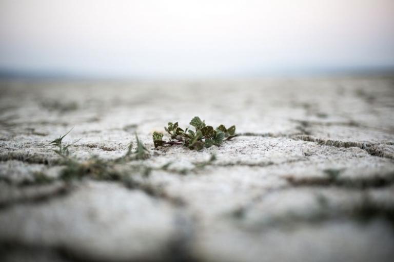 Η ξηρασία και ο καύσωνας πλήττουν την Ελβετία