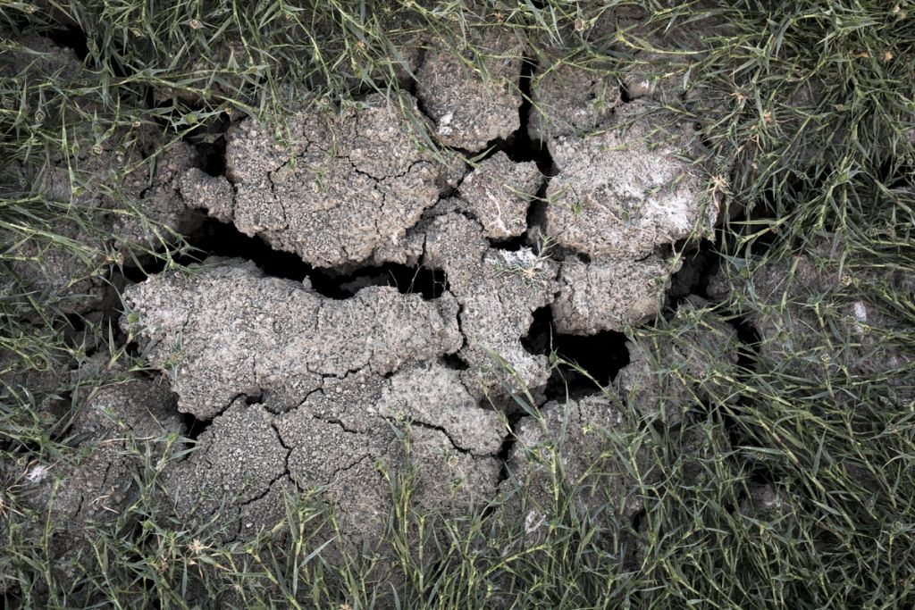 Προβλήματα στον αγροτικό τομέα στην Ευρώπη από την ξηρασία και τον καύσωνα