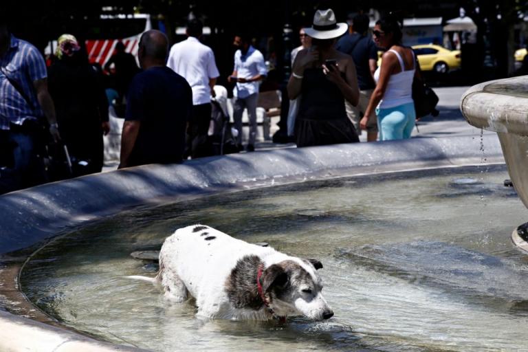 Καμίνι η Ευρώπη : Θερμοπληξίες και θερμοκρασίες – ρεκόρ