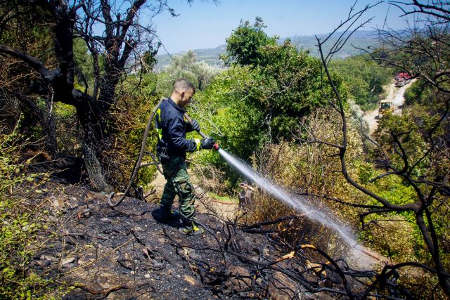 Σε ύφεση η πυρκαγιά στο Σχινιά