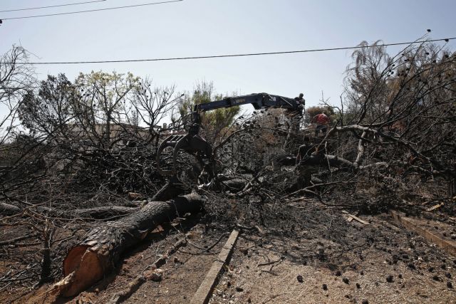 Πυρόπληκτοι: Τα ποσά για την επιδότηση ενοικίου