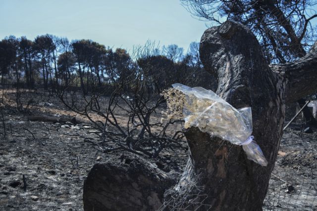 Μάτι: Τα πρακτικά της Πυροσβεστικής ζητούν οι συγγενείς των θυμάτων