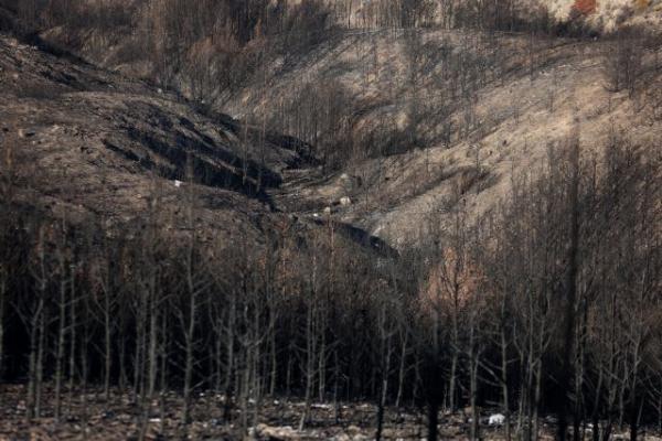 Τις 3.320 έφτασαν οι αιτήσεις πυρόπληκτων
