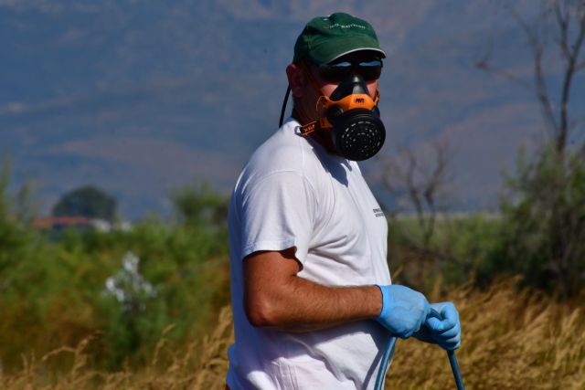 Αύξηση κονδυλίων για την καταπολέμηση του ιού του Δυτικού Νείλου ζητούν οι δήμοι