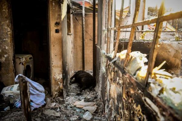 Lack of sensitivity for the fire-stricken