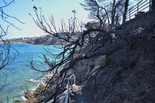 Μάτι : Στους 97 οι νεκροί της φονικής πυρκαγιάς